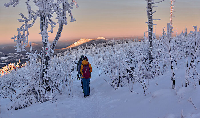 Winterwandern - Wintersport im Bayerischen Wald Winterwandern - Wintersport im Bayerischen Wald